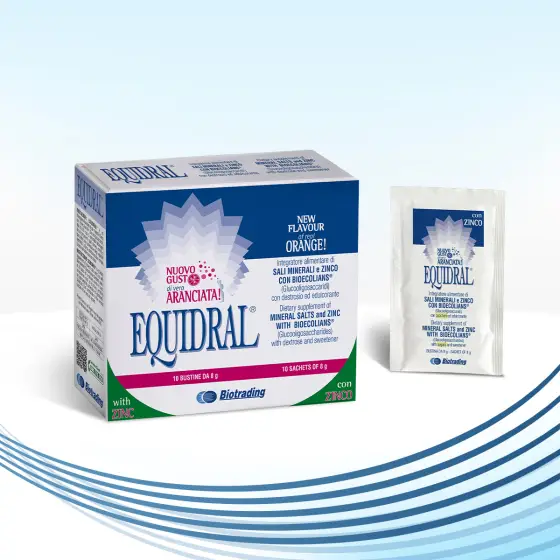 EQUIDRAL QESE A10 photo 1